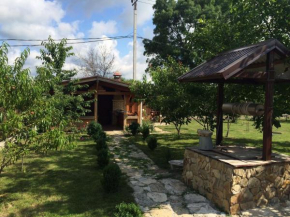 House Fruit Garden